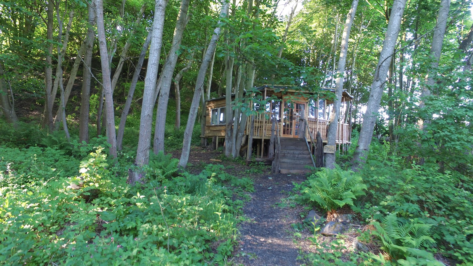 camping fife near edinburgh