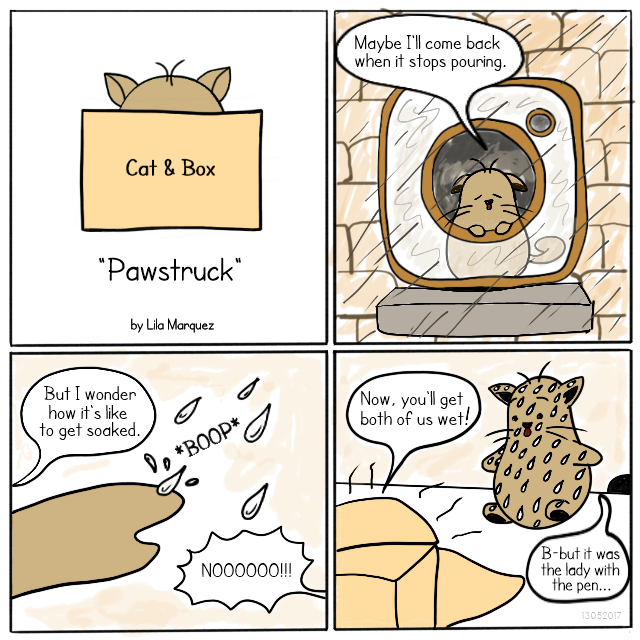 Cat and Box Comics