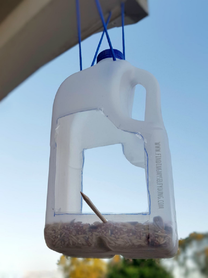 Image of plastic jug cut into a bird feeder hanging from porch