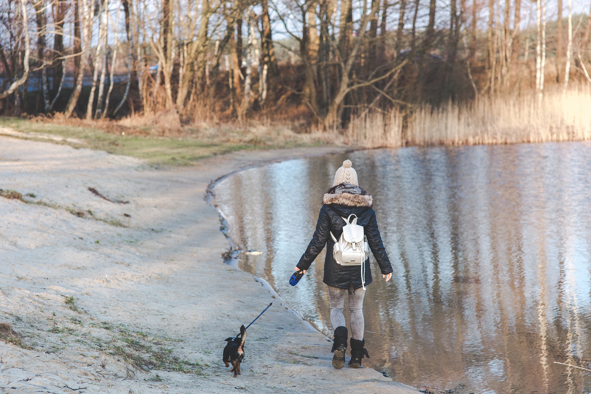 Puppy for a Walk