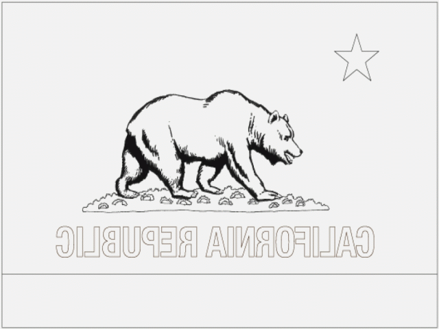 Bear Flag Museum Reverse Bear Flag Outline