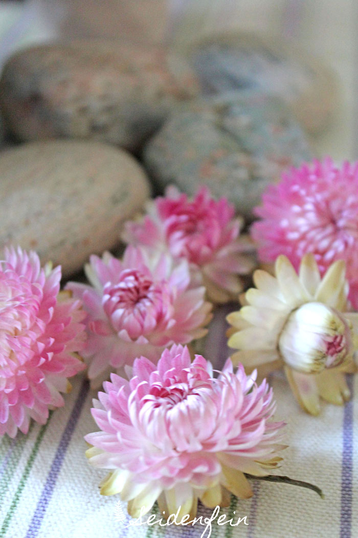 seidenfeins Blog vom schönen Landleben: Strohblumen und anderes * straw