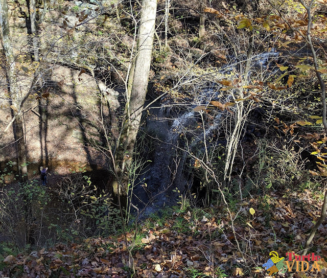 View of the top of the falls at Stillhouse Hollow Falls in Tennessee