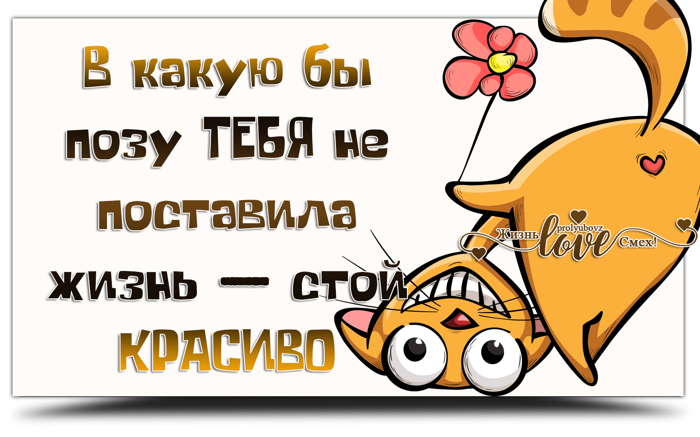 В какую бы позу не поставила жизнь стой красиво картинки