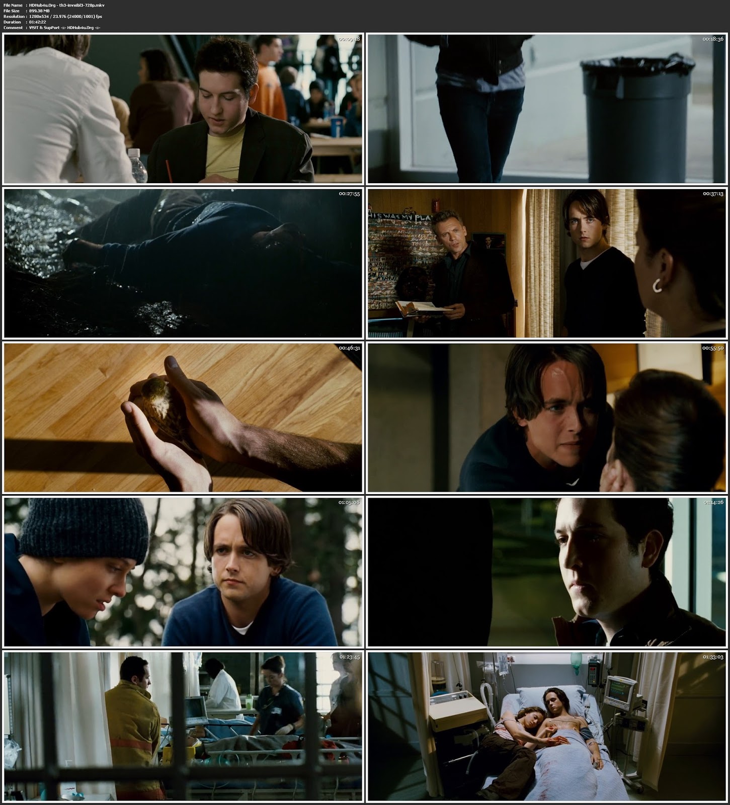 The Invisible 2007 300MB Hindi Dual Audio 480p BluRay Esubs Download