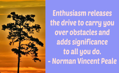 Enthusiasm Quotes And Sayings