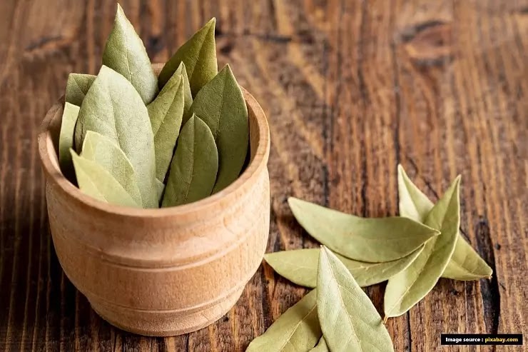 Bay leaves Benefits In Hindi 
