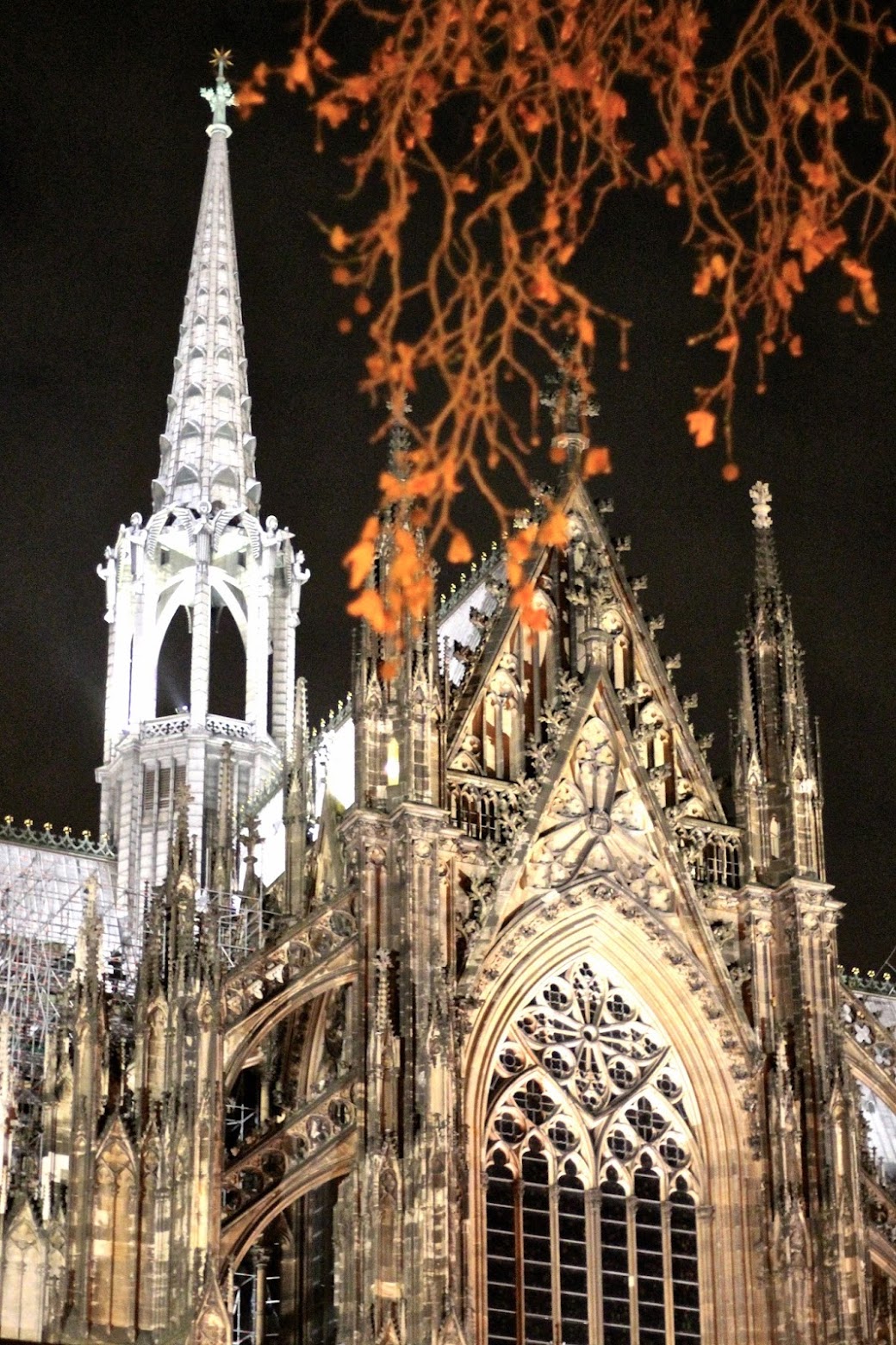 The Life Of Schinken Weihnachtsmarkt In Koln