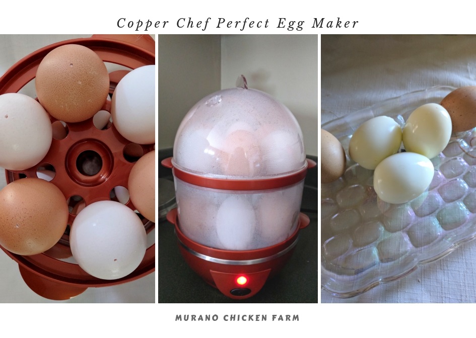 Do TV egg products work for farm eggs? Murano Chicken Farm