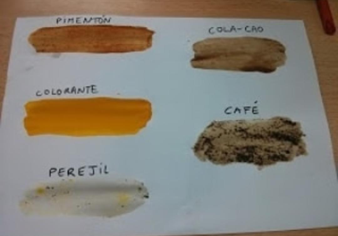 SALA LILA - ¡En la cocina!... también se puede aprender