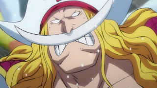 Hellominju.com: ワンピースアニメ ワノ国 | 白ひげ エドワード・ニューゲート | Whitebeard | Edward Newgate | ONE PIECE | Hello Anime !