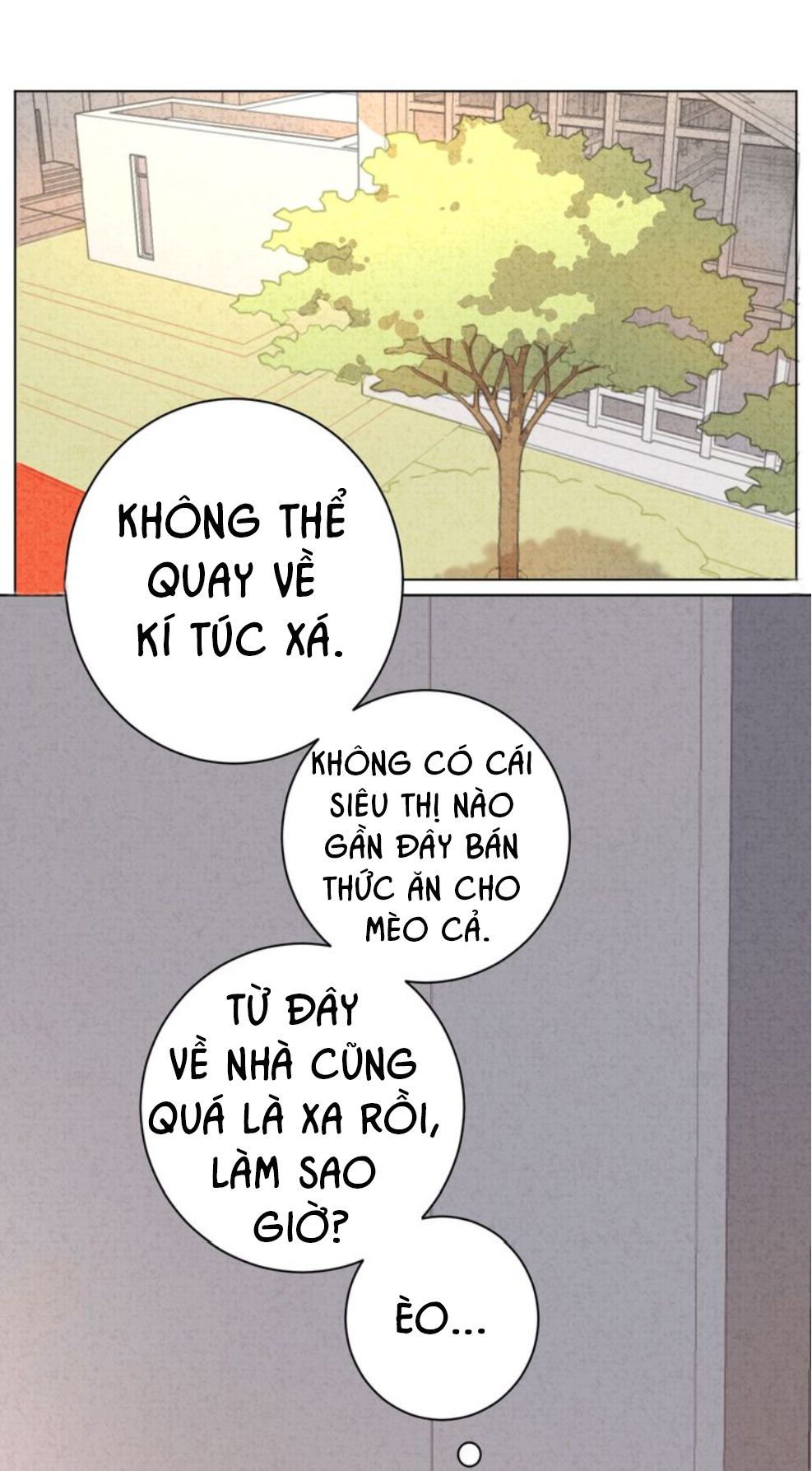 Đọc truyện Thế giới của một chú mèo - Chapter 13
