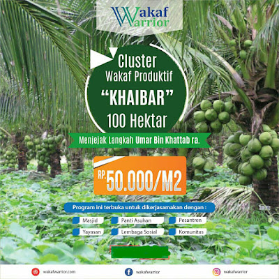 Investasi Kavling Produktif Grand Coco Village - WAKAF Kavling Kebun Kelapa Investasi Kavling Produktif Grand Coco Village - WAKAF Kavling Kebun Kelapa