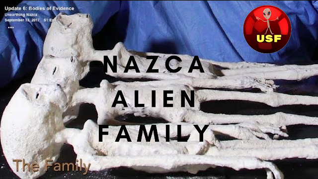 These Nazca mummies Nazca Aliens are very real.