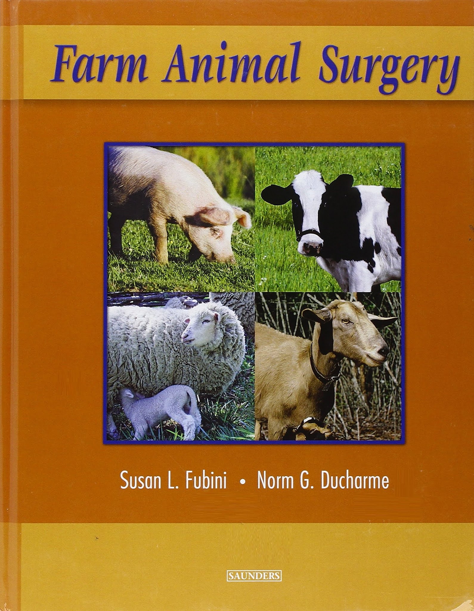 Veterinary Surgery and Radiology Books