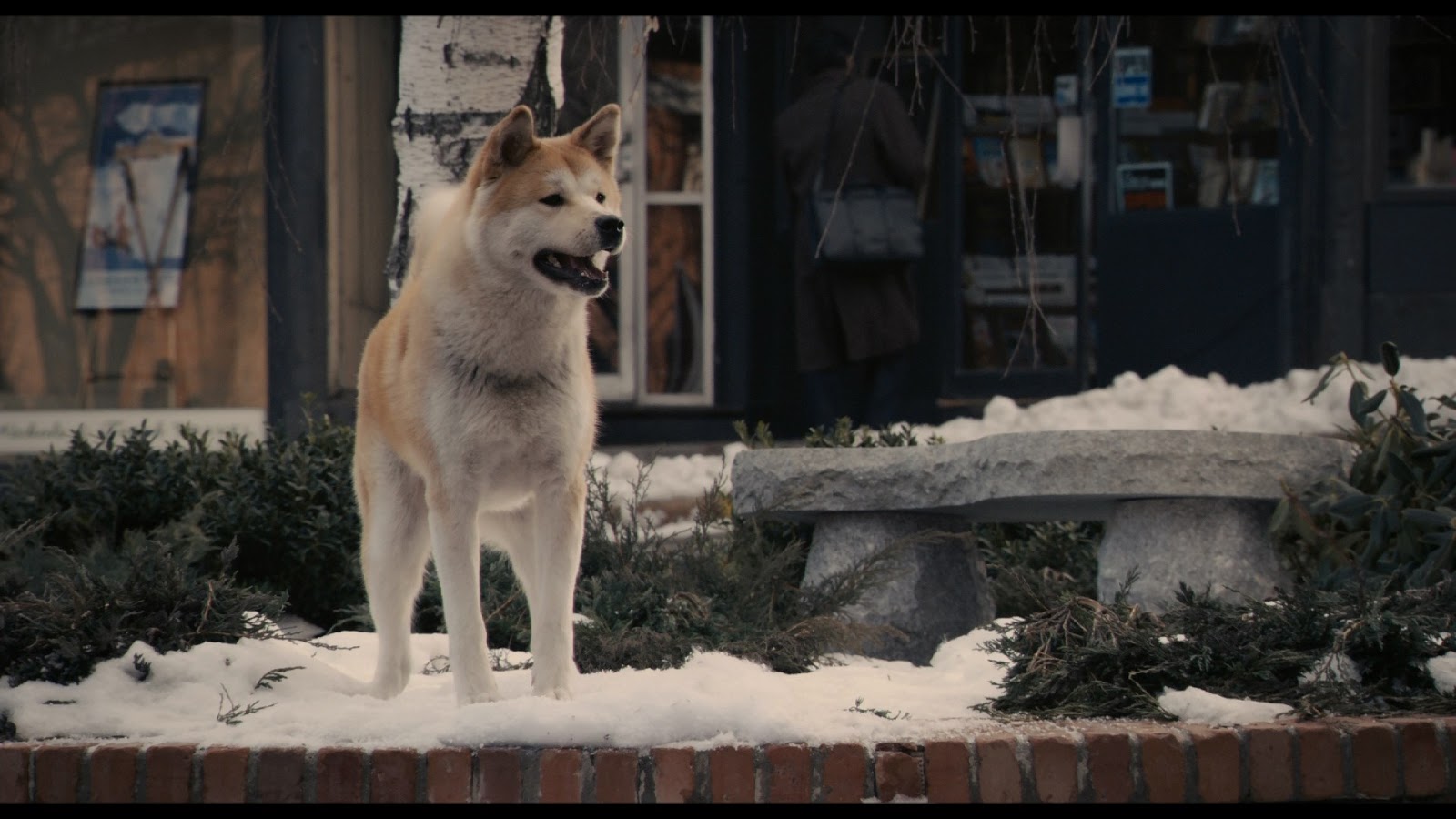 Hachiko+Siempre+a+tu+lado+%282009%29+1080p+BDRemux+Latino+-+Ingles+-+Descargatep%C3%A8lis.com.mkv_snapshot_01.26.13_%5B2020.01.11_07.42.32%5D.jpg (1600×900)