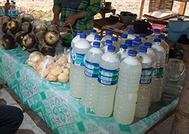 Siwalan dan Legen Kuliner Khas Panceng 2 legendan%2Bsiwalan