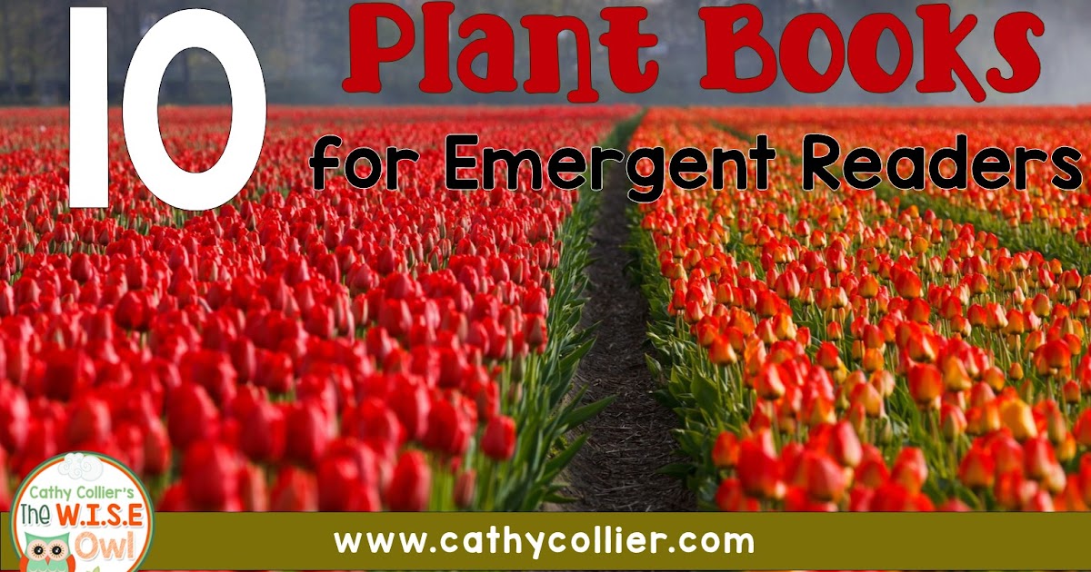 Top 10 Plant Books for Emergent Readers The W.I.S.E. Owl