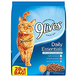 best-dry-cat-food best-dry-cat-food