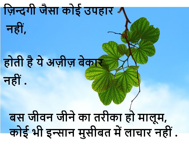 life shayari in hindi life shayari in hindi, life shayari images
