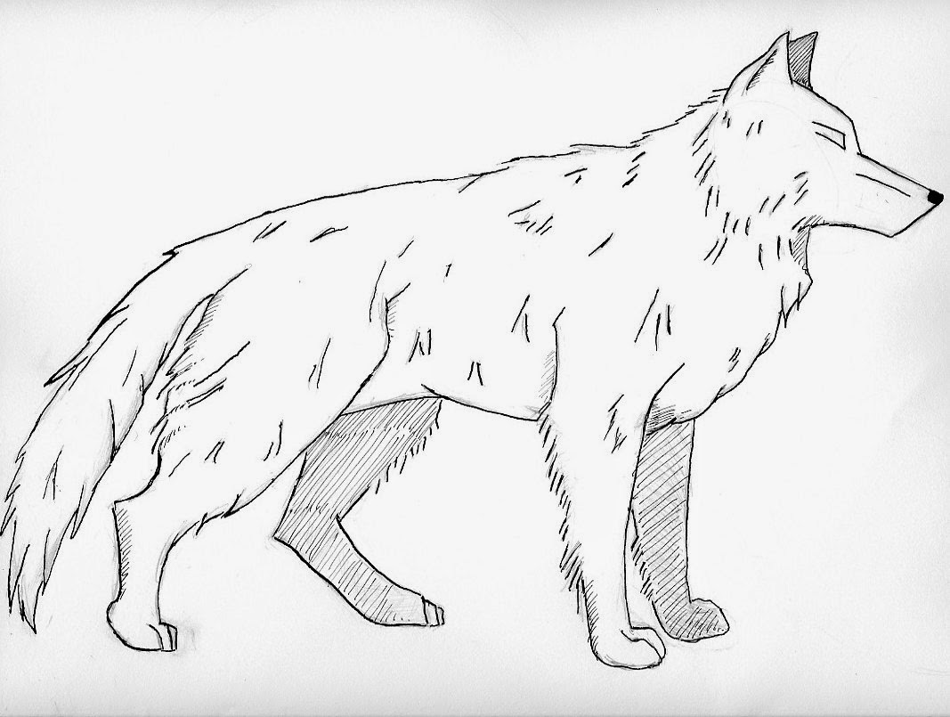 Sketsa Gambar Hewan Berkaki 2 | Garlerisket