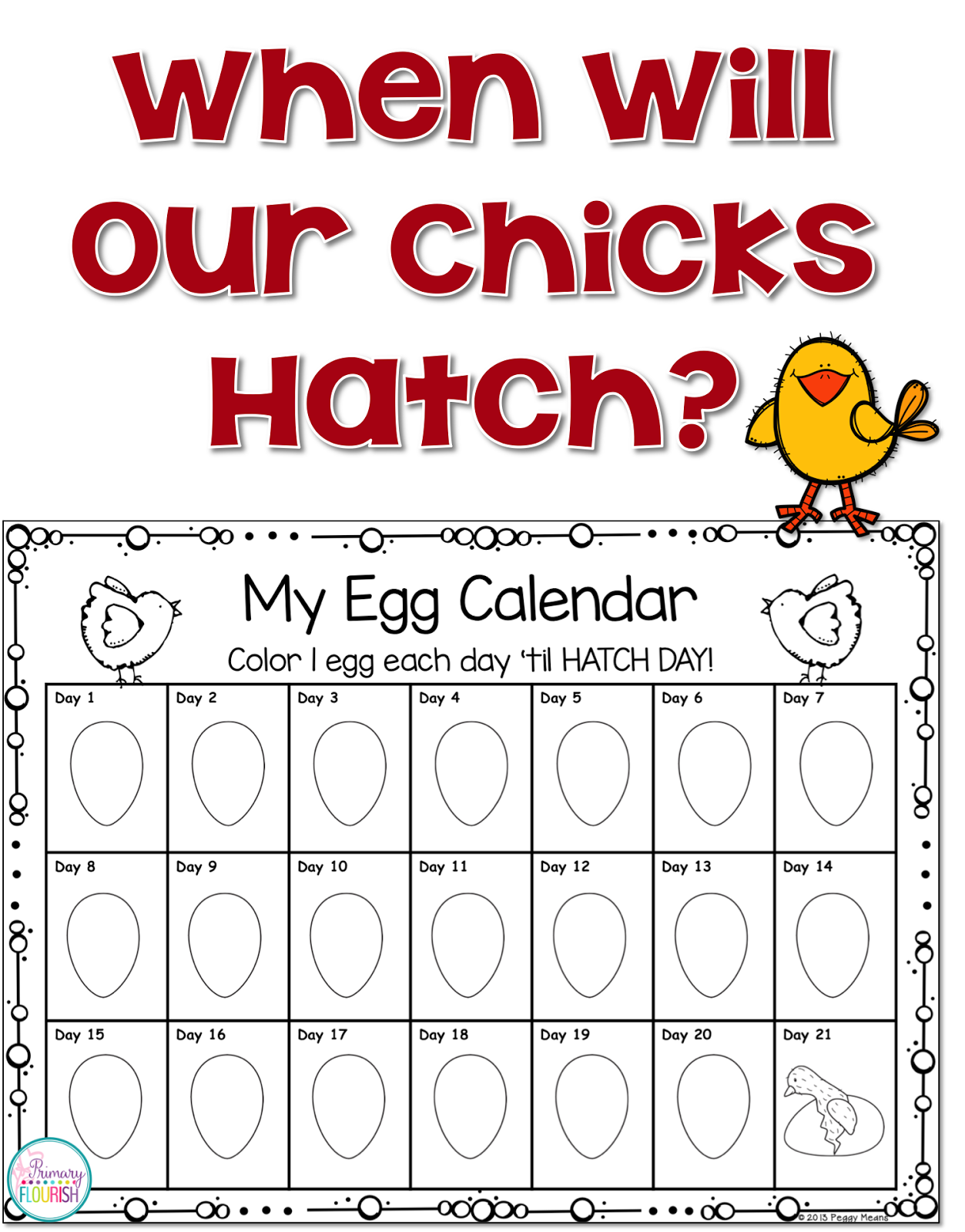 How to Hatch Chicks in the Classroom 101 Primary Flourish
