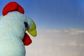 Superpollo around the world: - Pollo History