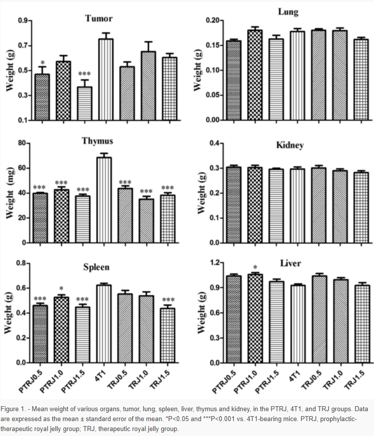 Apitherapy News Royal Jelly May Help Treat Breast Cancer