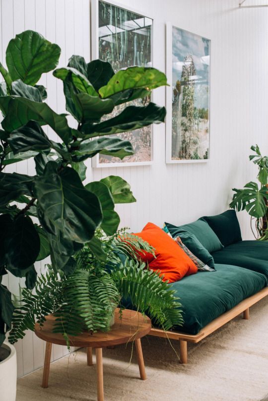 The Studio M Designs Blog Styling Essentials Plants | the studio m designs blog styling essentials plants The Studio M Designs Blog Styling Essentials Plants | the studio m designs blog styling essentials plants