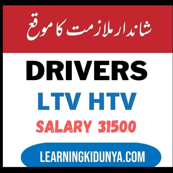 Govt driver jobs government driver jobs in lahore 2021 government