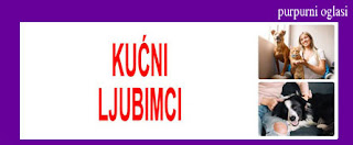 9. KUĆNI LJUBIMCI PURPURNI OGLASI