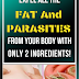 Expel All The FAT And PARASITES From Your Body With Only 2 Ingredients! 