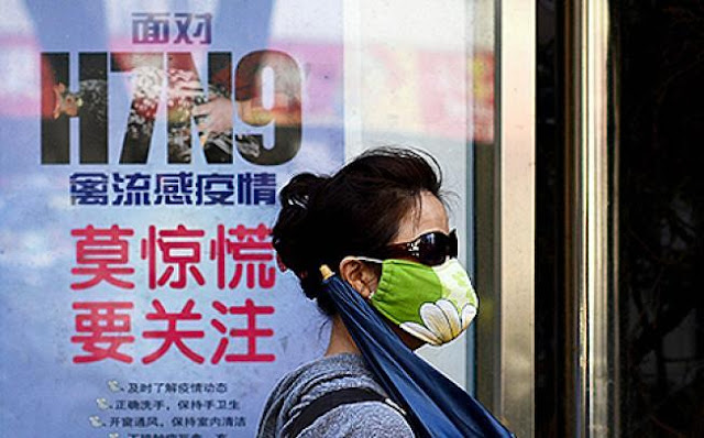Yang Perlu Anda Tahu Seputar Virus Flu Burung H7N9