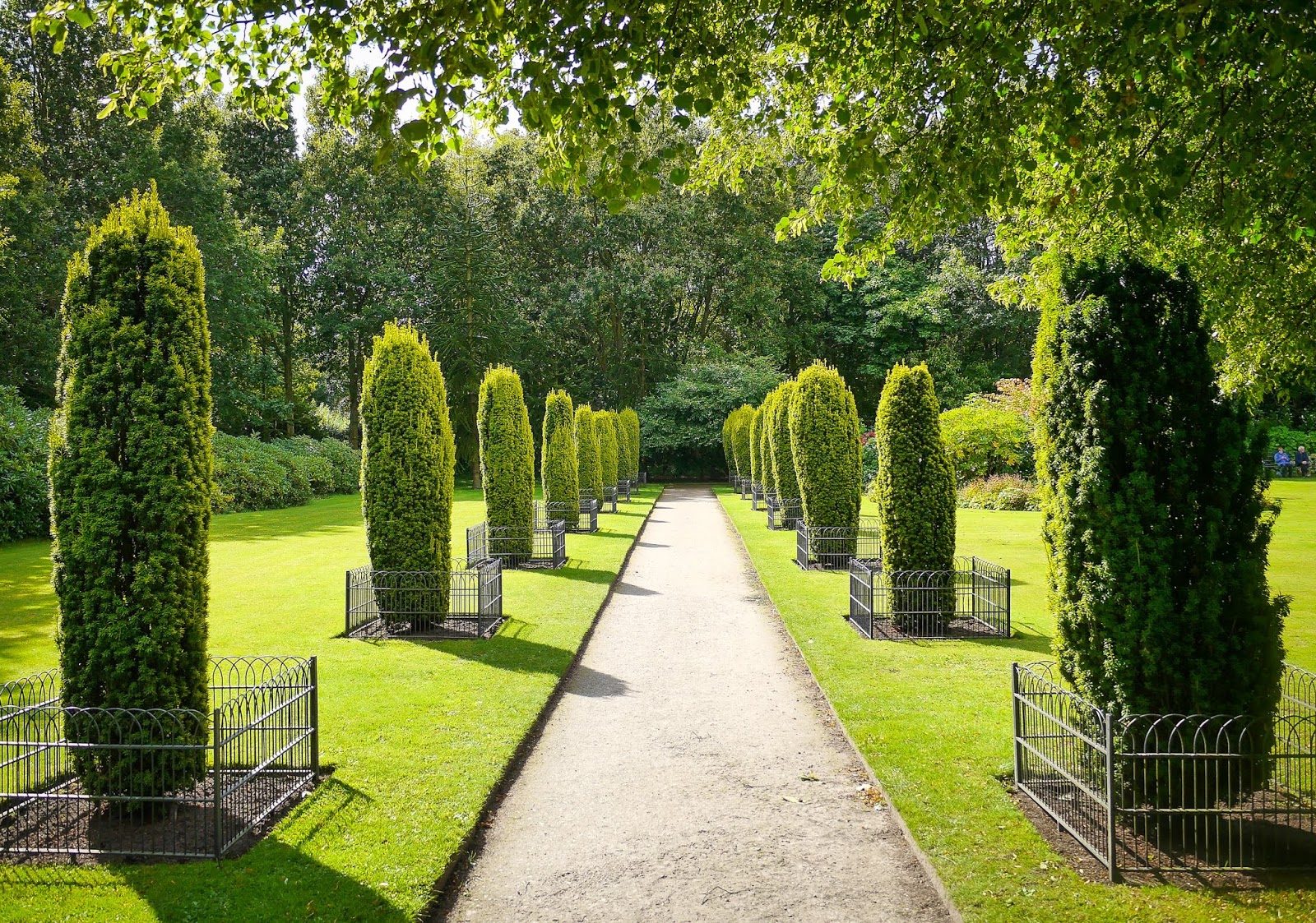 Creating Trimmed Hedges And Topiary With Forest Pack Cg Tutorial