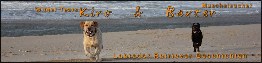 Kiro & Baxter - Labrador Geschichten