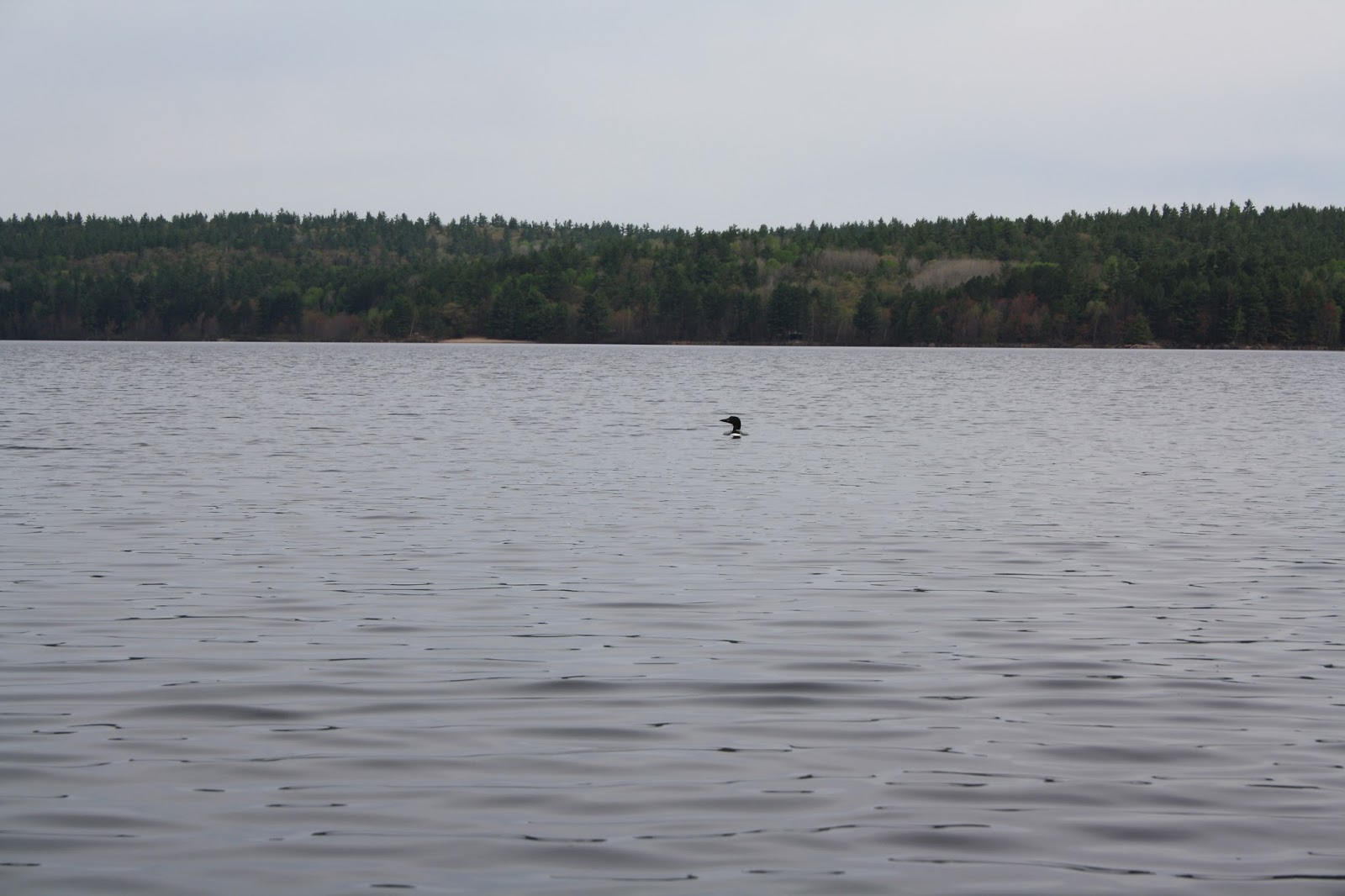 Cici Canoe Trip Log Day 1 Grand Lake to Upper Spectacle Lake; in to