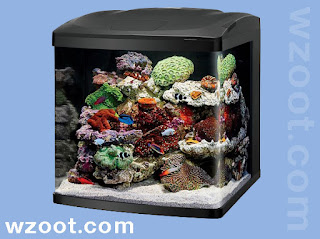 GloFish Aquarium Starter Kit
