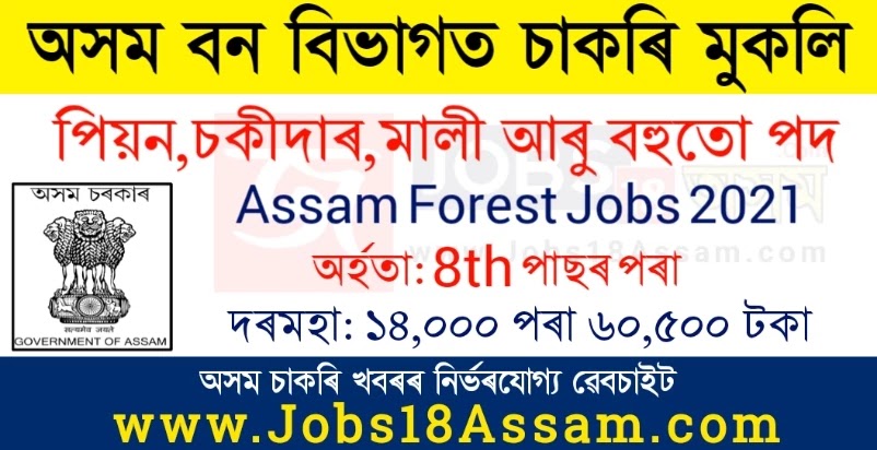 Assam Forest Recruitment 2021 - 37 Office Peon, Chowkidar, Jr. Assistant & Other Vacancy