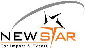 New star com. New Star логотип. Лого New Star Manager. Нью Стар Маркет. Логотип Newfoil.