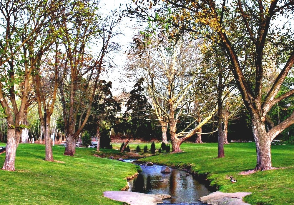 College Place, Washington College Place Washington