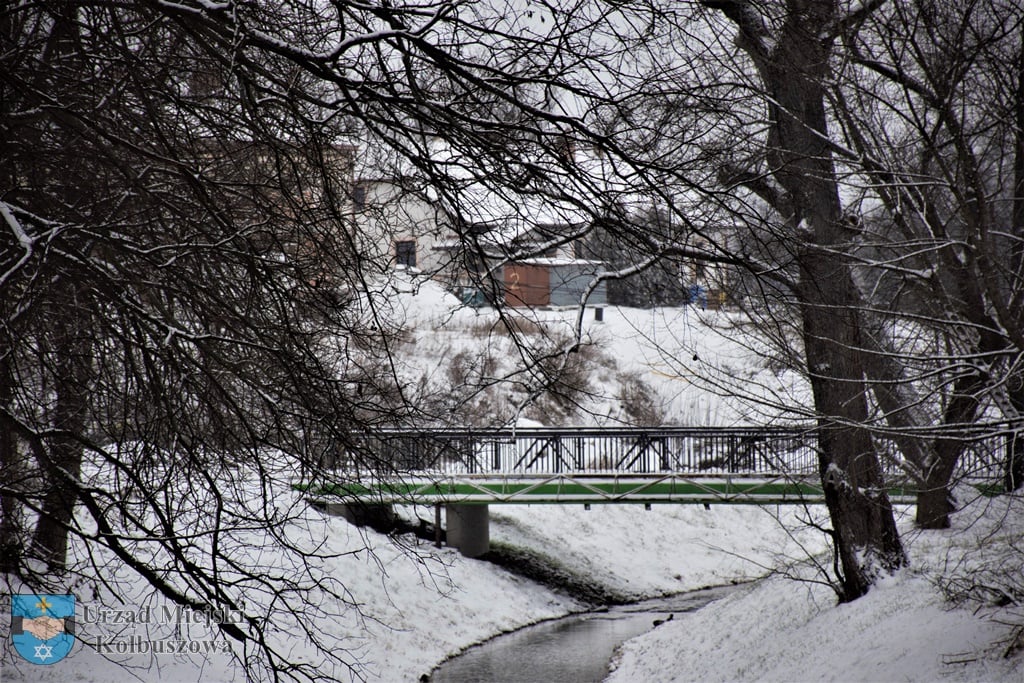 Nagły atak zimy w Kolbuszowej - zdjęcie nr 9.