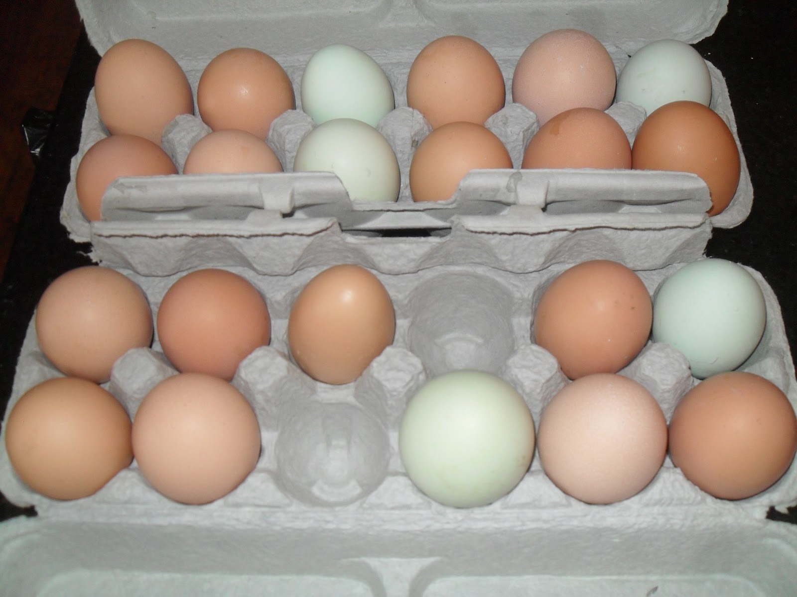 Freezing Cracked Eggs