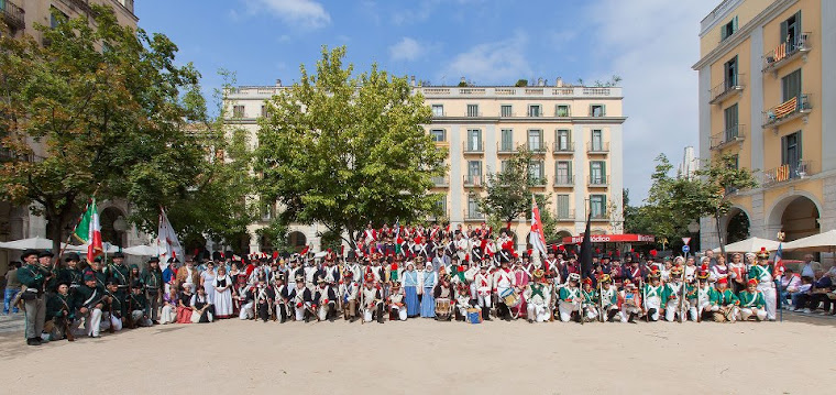 V Festa Reviu els Setges Napoleònics (2013)