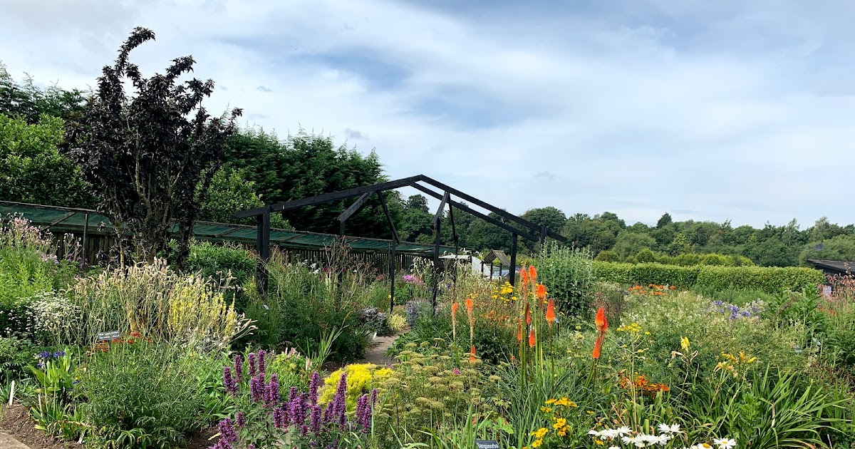 A plant buying trip to Avondale Nursery
