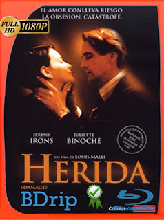 Herida (1992) BDRIP 1080p Latino [GoogleDrive] SXGO