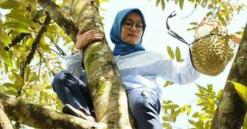 99 15 Arti Mimpi Memanjat Pohon Menurut Primbon Jawa Dan Islam Mimpi Menurut Primbon 99 15 Arti Mimpi Memanjat Pohon Menurut Primbon Jawa Dan Islam Mimpi Menurut Primbon