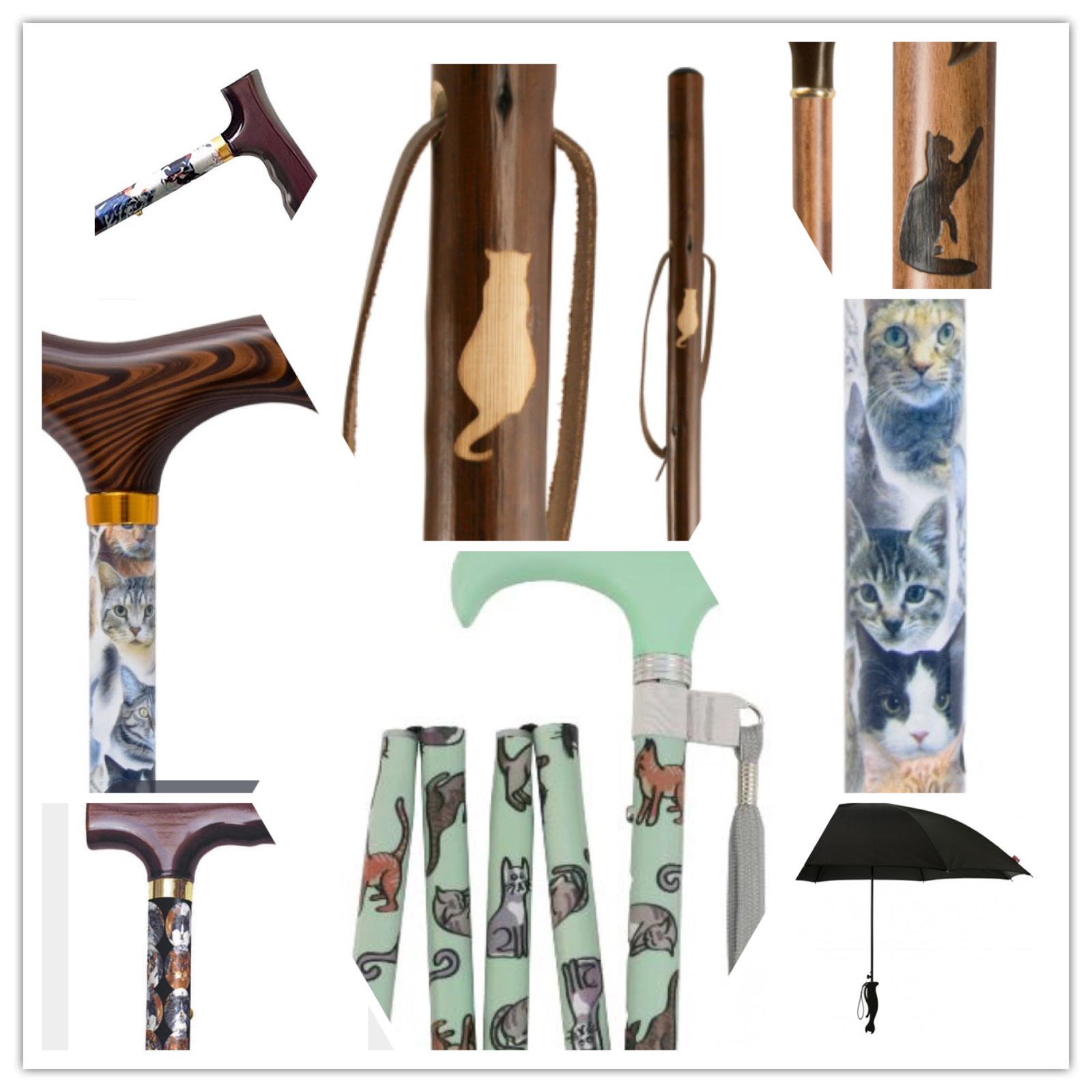 Sparkling Magpie It's Raining Cats & Dogs (Walking Sticks Rendition!)