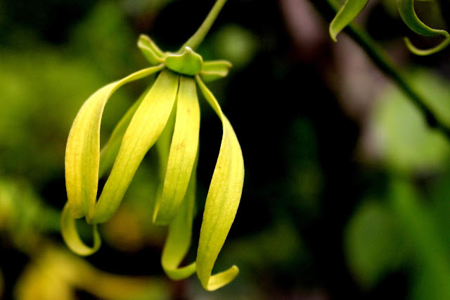 Hidup Akan Terasa Indah Apabila Tidak Mencampuri Urusan Orang Lain