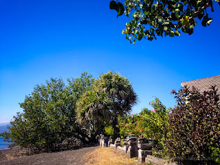 Tropical Beachfront Garden View In The Dry Season On A Sunny Day At The Village Umeanyar North Bali Indonesia