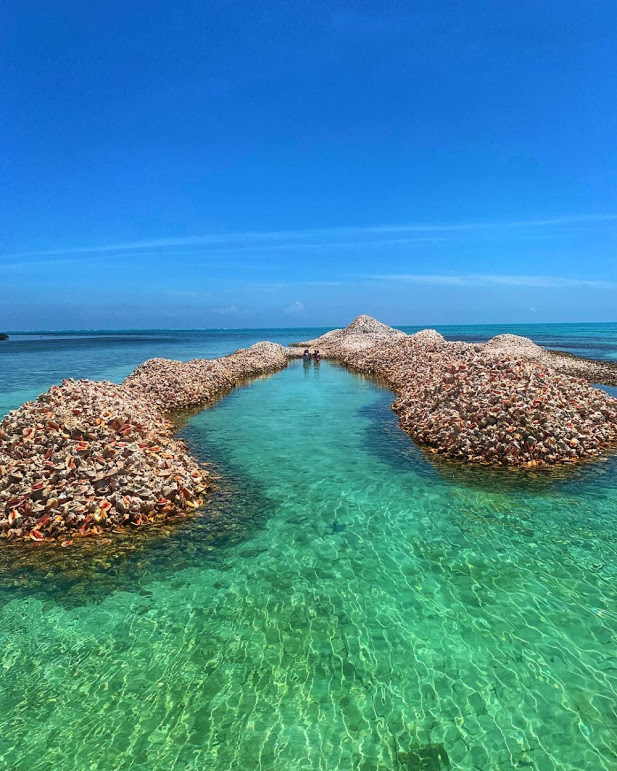 Conch Island — A Huge Cemetery of Millions of Conch Shells